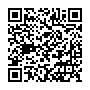 他们刚刚从一只虚弱状态的至尊灵兽口中逃生的二维码生成