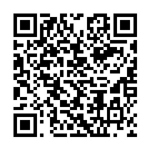 他们刚刚干掉的仅仅是毒蝎帮和秃鹫帮的先头部队而已二维码生成