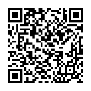 他们刚刚拥有了一点点心理优势在瞬间被击得粉碎二维码生成