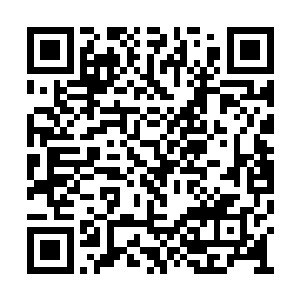 他们刚到的时候正好看到定王府的马车也过来了二维码生成
