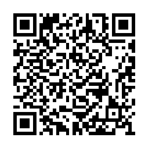 他们到底还是低估了踏雪无痕墨角腾云兽的实力二维码生成