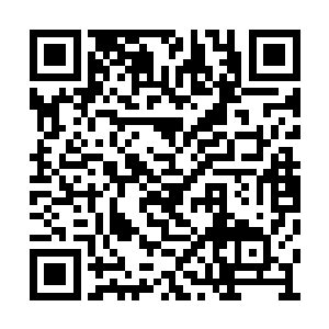 他们却没有发现在他们的身后跟着一个锦衣修士二维码生成