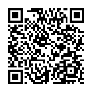他们却认得那是斯图亚家族久未露面的族长布拉德公爵二维码生成
