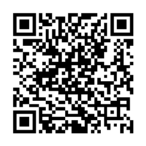 他们原本已经被寂灭消磨的破碎不堪的身体终于完全爆碎二维码生成