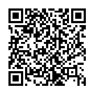 他们发现自己看不出来叶枫的实力水平是处在一个什么境界二维码生成