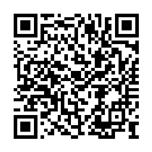 他们只是为了感激和冒险才加入夏天的佣兵团的二维码生成