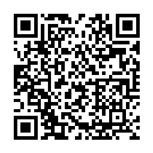 他们只是想安安分分地在属于自己的土地上活下去而已二维码生成