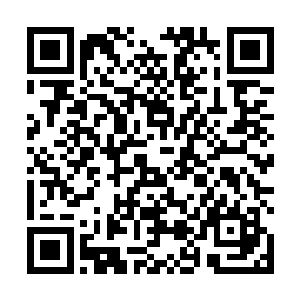 他们只有找到了巫师之神再也无法影响费南世界的证据二维码生成