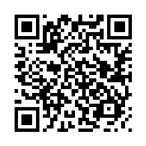他们只看见萧摇轻拍了一下陈老师二维码生成