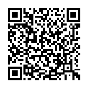 他们只知道一个叫做罗宾的家伙驾驶着机械泰坦二维码生成