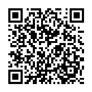 他们只能通过选手们的表情和动作来猜测里面发生了什么事情二维码生成