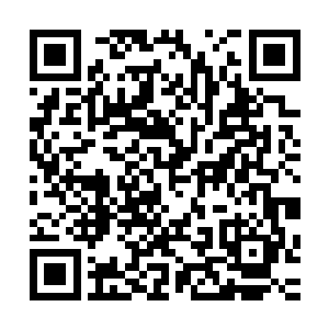 他们可以提供大量的法术强度增益以及施法度等各方面的加成二维码生成
