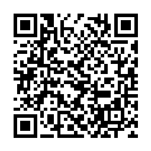 他们可以非常肯定地指出少年的心脏哪里除了问题二维码生成