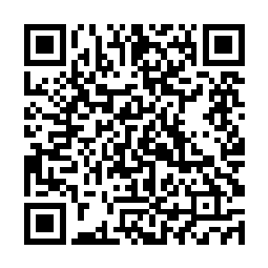 他们可没有豹女这个随时都能给队友回血的补奶机器二维码生成