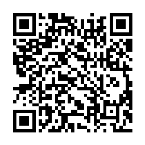 他们可能是去追捕那个灭了神社和神刀堂的神秘高手了二维码生成