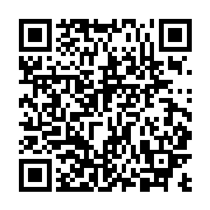 他们可都是知道许紫烟在仙阵这仙符两个领域内的境界二维码生成