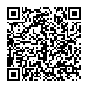他们和花脸王之间的感情已经不单单是用兄弟两个字就可以诠释的二维码生成