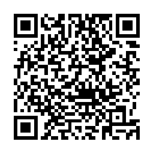 他们唯有希望250机甲团的团长不要养什么奇怪的水生动物二维码生成