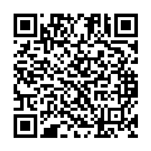 他们四兄弟也要想方设法的从他手中重新将引魂莲夺走二维码生成
