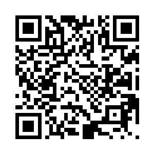 他们因此看上了红猿森林里的那群猿猴二维码生成