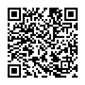 他们在执行完监视你的任务后……纷纷以压力过大为由二维码生成