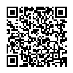 他们在旅行社给安排的看起来装潢设施都并不怎么高档的酒店里二维码生成
