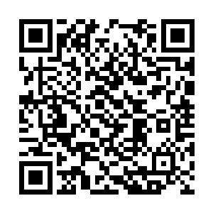 他们在最后布下的第三层天雷队应该没被发现才对二维码生成