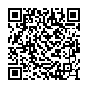 他们在楚暮的询问之下说出了后面所发生的事情二维码生成