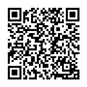 他们在这里秘密汲取这血族始祖遗体散发出来最纯正的气息二维码生成
