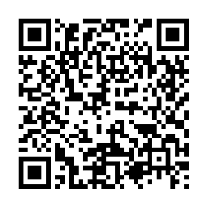 他们天真的以为自己是因为知道太多仙女楼的秘辛二维码生成