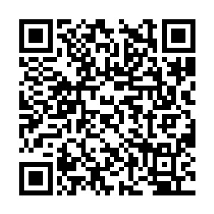 他们宁可战死在敌人的手里也不想这么窝囊的死去二维码生成