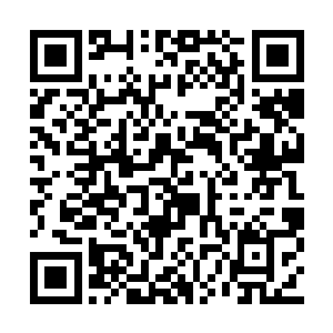 他们完全不知道因为什么而招惹上了这样的强敌二维码生成