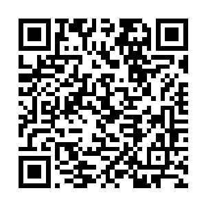 他们实在是无法与当年那小小的大地圣师给联想起來二维码生成