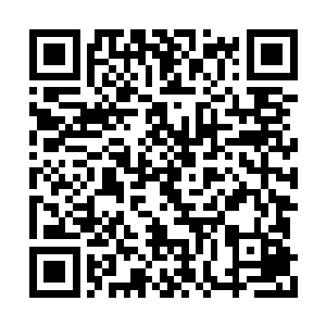 他们对于异常情况的处置预案虽然忘得差不多了二维码生成