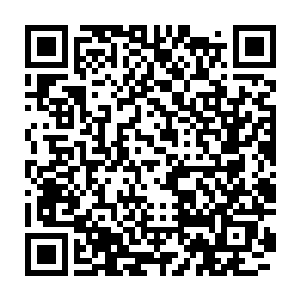 他们对云河堡中能把这些水果由平方化神奇的东西也就更加的期待好奇二维码生成