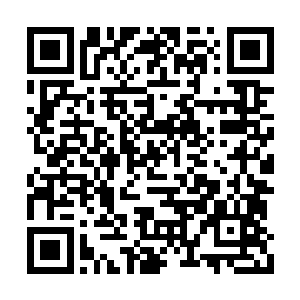 他们对这个陌生的国度里一个陌生的城市的探索二维码生成