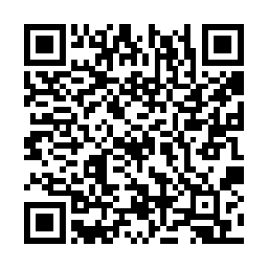 他们对雨果的推崇甚至超过了天使之城本地扎根的二维码生成