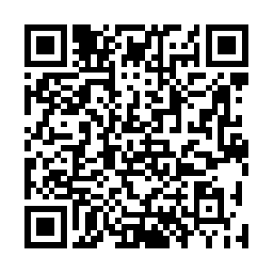 他们将无数星空异族最强大的基因都嵌入自己的基因链中二维码生成