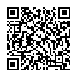 他们就是我在芝加哥遇到的两个霸王正道的办事人二维码生成