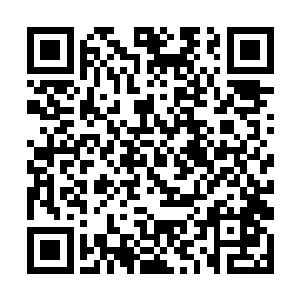 他们就看到苏落将这些散落在地上的角开始制作东西二维码生成