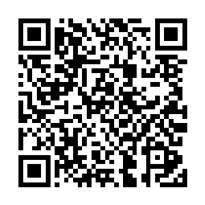 他们就看到那株最大的变异型枫叶树上挂着一个个球状体二维码生成