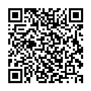 他们就质问政府为什么要故意把土地荒置都不让他们利用起来二维码生成