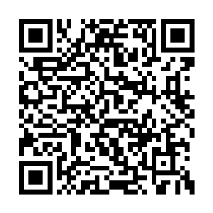 他们崇拜的大圣主竟然被人族修士一拳轰飞……二维码生成