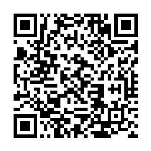 他们已经想好等下要好好的教训一番这个傲气的少年二维码生成