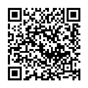 他们应该是要直接驾驭灵霄仙鹤飞抵梵奇秘境的腹地的二维码生成