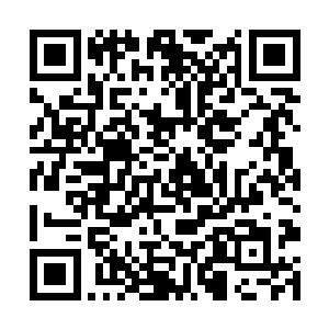 他们当然知道这个三个圣族的界王都代表着什么实力二维码生成