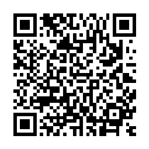 他们得抬头看才能看清楚那高高的城墙上站着来回巡视的勇士二维码生成