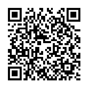 他们心内对张潇晗何以有魄力支撑一个宗门也好奇二维码生成