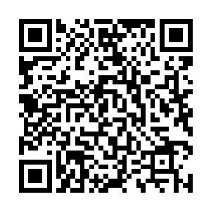 他们怎么能在间接害死那么多人之后没有一点负罪感二维码生成