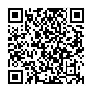 他们总是为了一己的私利而做出这样活着那样的事情来二维码生成